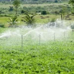 sprinkler-irrigation-system-1000x1000